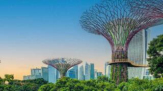 singapore supertrees